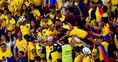 Ecuador fans make feelings on World Cup beer ban clear with brilliant chant