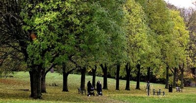NI weather: Forecast for the week ahead shows a return to unsettled conditions