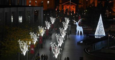 Traditional Church Street Christmas tree arrives ahead of Liverpool light switch on