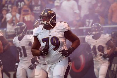 Two key Ravens players leave Week 11 vs. Panthers with injuries
