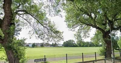 'Aggressive' dog tasered by police and park evacuated after attack on woman