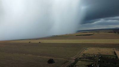 Hail storms in Victoria's Mallee region cause major crop damage