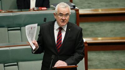 Federal MP Andrew Wilkie alleges coal exporters using faked reports of 'cleaner coal' and bribes to boost profits