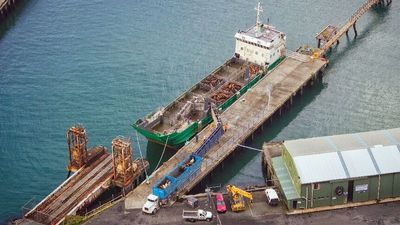 Captain pleads guilty over voyage that saw cattle crushed, dying of hypothermia on the Bass Strait