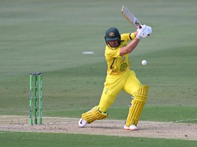 Labuschagne surprised by ODI captain call