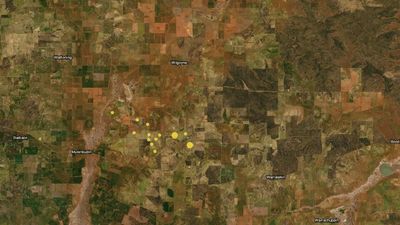 Earthquake 'swarm' data in Mukinbudin studied to understand seismic activity in WA's Wheatbelt region