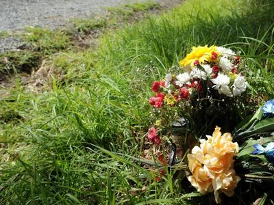 Push to make deadly NSW roads safer