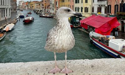 I’ve taken 263 photos since arriving in Venice, my husband has taken five – it would be nice to have a few more of me