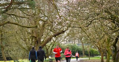 Cardiff is one of Europe's greenest capitals with its abundance of parks and gardens