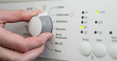 Exactly how much each appliance adds to energy bills - with kitchen costing £117