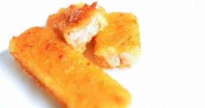 Fishfinger question sparks heated debate on Mumsnet