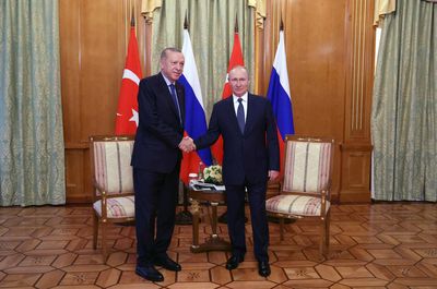 Erdogan says plans to produce flour from Russian wheat in Turkey -Haberturk