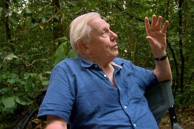 David Attenborough features in VR experience at Westfield White City