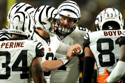 Bengals vs. Steelers takeaways and everything to know from Week 11