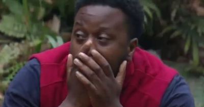 I'm A Celebrity's Babatunde Aleshe causes 'concern' amongst fans over latest vote