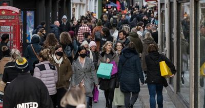 Black Friday survival guide: How to avoid being ripped off and make the most of the sales