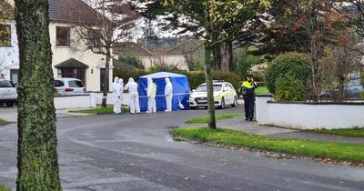 Gardai investigating 'all circumstances' after man's body found in Ballinteer