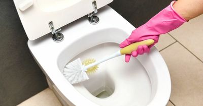 Mrs Hinch fans share best way to remove yellow toilet stains without scrubbing