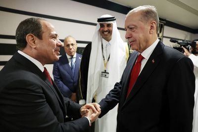 Egypt's Sisi, Turkey's Erdogan seal improvement in bilateral ties with handshake