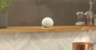 Every Echo Dot deal rated for Black Friday - what to buy at the best price