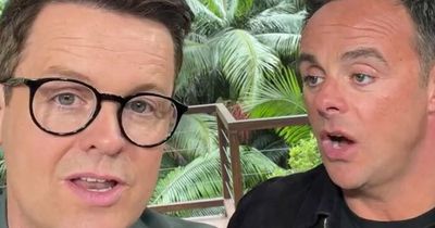 Ant & Dec reveal I'm A Celebrity twist as star takes on trial already seen this series