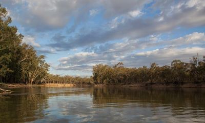 Birds are back, crops are growing – but is the Murray Darling Basin plan working?