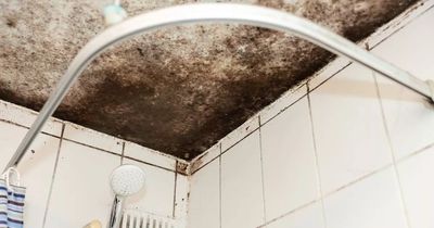 Mum swears by 'natural' three-ingredient hack to get rid of mould for good