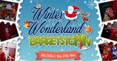Win a family ticket to Winter Wonderland all with thanks to Barretstown