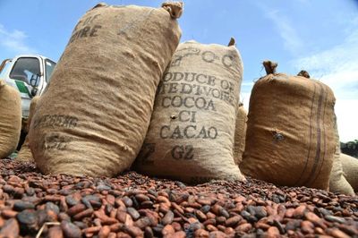 I. Coast, Ghana ease tug-of-war with buyers over cocoa prices