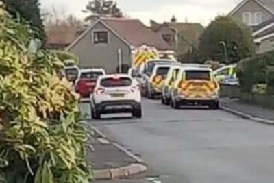 Police gun fired after armed officers locked down residential street
