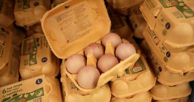 Sainsbury's shopper dumbfounded when she sees what's substituted instead of £1.65 box of eggs