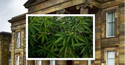 Lanarkshire man given 200 hours of unpaid work after hiding 1kg of cannabis in his garden