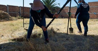 Human remains found in 53 bin bags after dog spotted with severed hand in its mouth