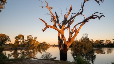 Management plan must consider First Nations, climate change, says new Murray-Darling Basin boss