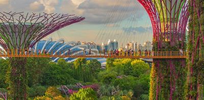 What mirrored ants, vivid blue butterflies and Monstera house plants can teach us about designing buildings