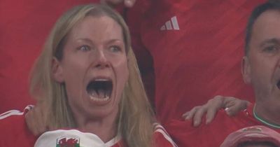 This Wales fan was all of us during passionate and emotional Welsh national anthem at World Cup