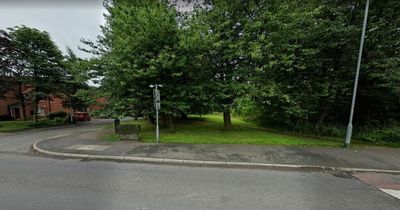 Man 'pounced' on lone woman in 'terrifying attack' along dirt path
