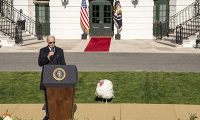 Still alive: American democracy, Biden’s bad jokes – and two turkeys