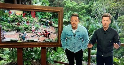 I'm a Celeb's Ant & Dec return to speaking Welsh after Wales' World Cup opener