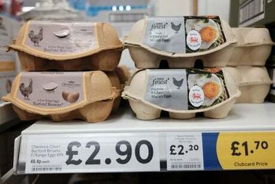 Tesco latest supermarket to limit egg purchases amid supply disruption