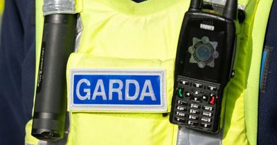 Man, 50s, arrested after Gardai seize €210,000 worth of suspected cocaine following Limerick house raid