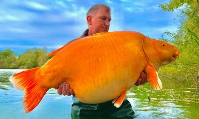 Angler lands one of world’s largest goldfish in French lake