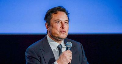 Elon Musk opens up on family tragedy after calls to let Sandyhook denier back on Twitter