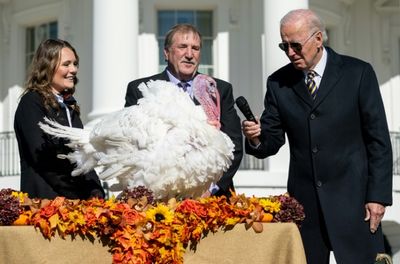 Biden pardons turkeys 'Chocolate' and 'Chip' for Thanksgiving