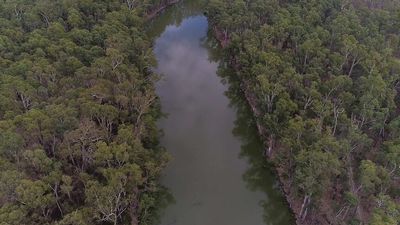 Murray-Darling Basin Authority warns critical basin plan projects will not be completed on time