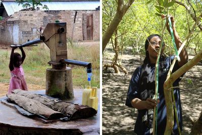 Scottish university hails world-first decade of partnership with Kenya on mangroves