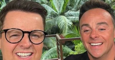 ITV I'm A Celebrity's Ant and Dec make 'awful' remark about Alison Hammond