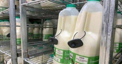 Security tags spotted on milk in branch of Tesco