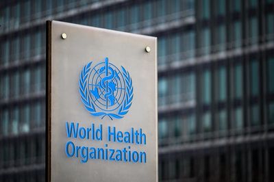 WHO ranks world’s worst pathogens at risk of sparking pandemics