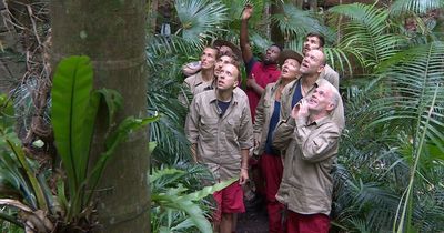 ITV I'm A Celebrity viewers spot new voting row as they say campmate needs to be 'protected'